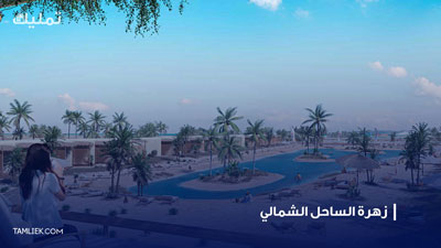 زهرة الساحل الشمالي